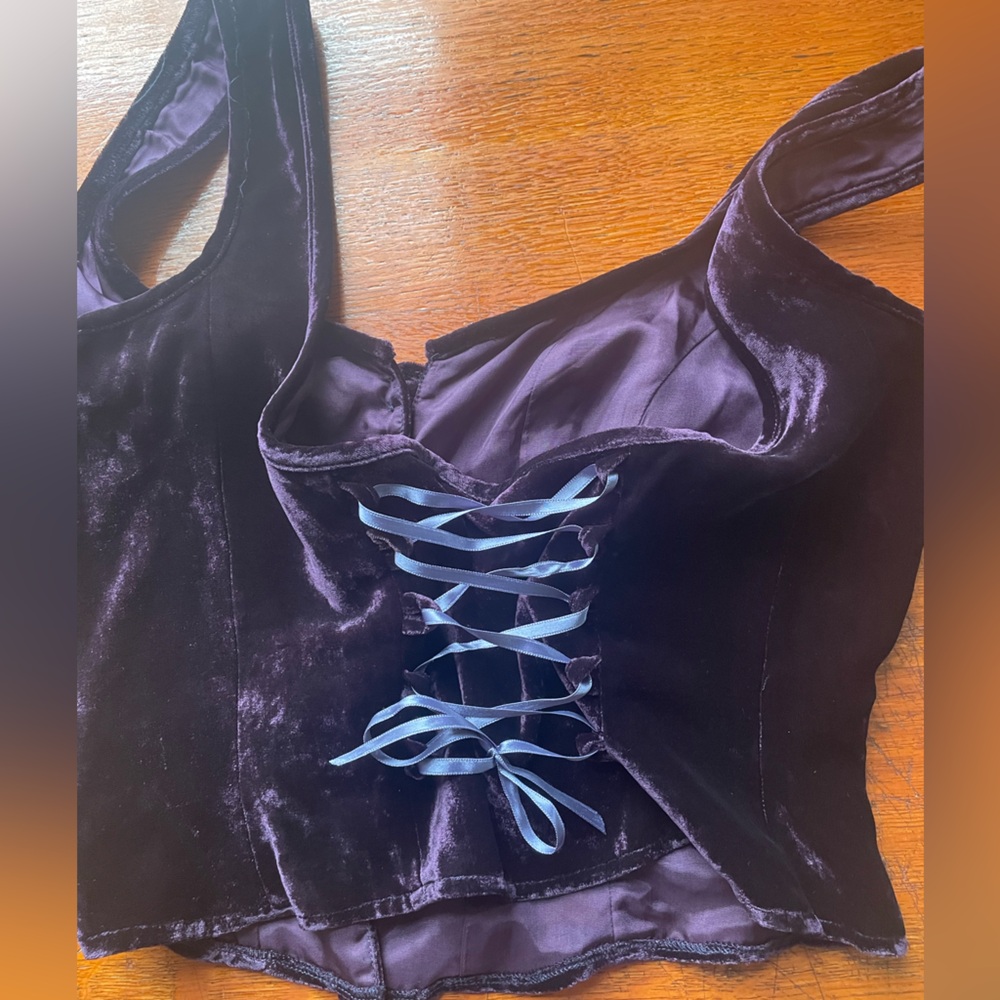 Corrine Sarrut Cropped Velvet Bustier - Picture 5 of 16